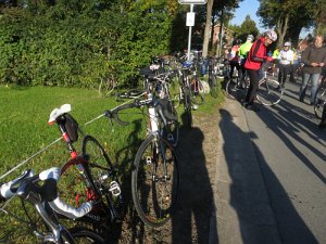RTF Almabtrieb 040